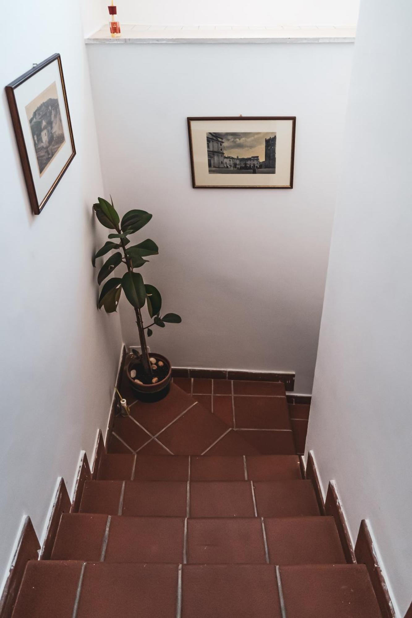 Alatri Casina Carina - Intero Appartamento Indipendente מראה חיצוני תמונה